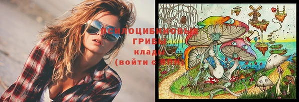мдпв Надым